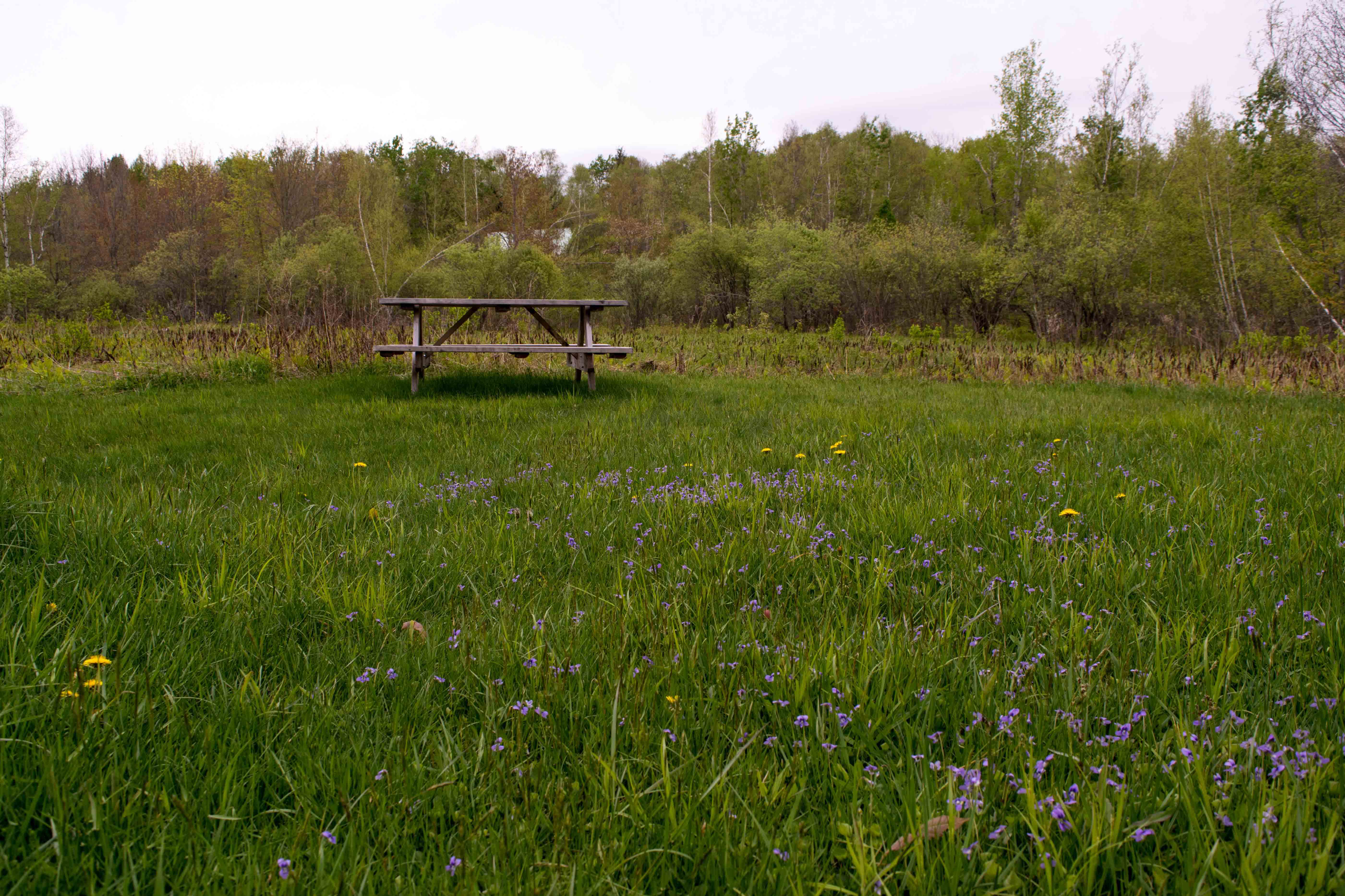 A campsite in the fields